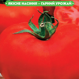 Насіння томату Бичачий лоб 0.1 г, FAZENDA, O. L. KAR