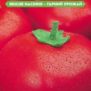 Насіння томату Валютний 0.1 г, FAZENDA, O. L. KAR
