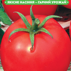 Насіння томату Вогні столиці 0.1 г, FAZENDA, O. L. KAR