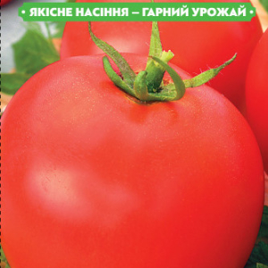 Насіння томату Ефемер 0.1 г, FAZENDA, O. L. KAR