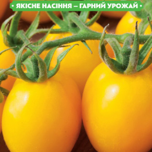 Насіння томату Золота крапля 0.1 г, FAZENDA, O. L. KAR