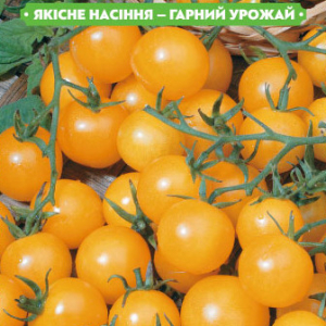 Насіння томату Золотий горіх 0.1 г, FAZENDA, O. L. KAR