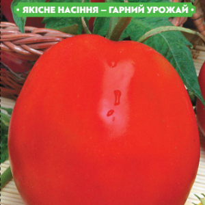 Насіння томату Іскорка 0.1 г, FAZENDA, O. L. KAR