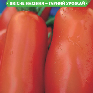 Насіння томату Кибиц 0.1 г, FAZENDA, O. L. KAR