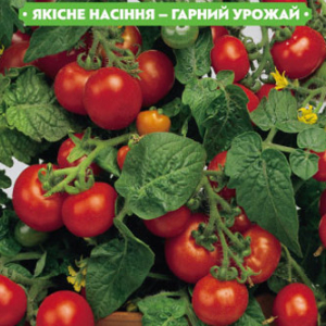 Насіння томату Кімнатний 0.1 г, FAZENDA, O. L. KAR