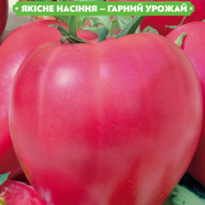 Насіння томату Настуся 0.1 г, FAZENDA, O. L. KAR