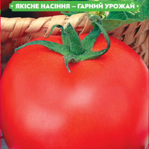 Насіння томату Північна королева 0.1 г, FAZENDA, O. L. KAR