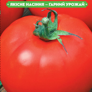Насіння томату Ранній 83 0.1 г, FAZENDA, O. L. KAR