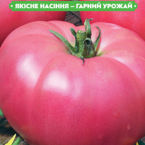 Насіння томату Рожевий гігант 0.1 г, FAZENDA, O. L. KAR