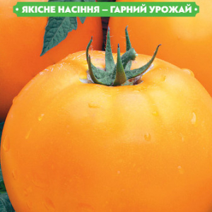 Насіння томату Руслан 0.1 г, FAZENDA, O. L. KAR