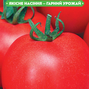 Насіння томату Санька 0.5 кг, FAZENDA, O. L. KAR