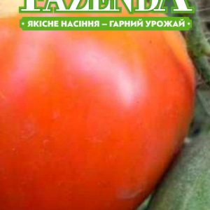 Насіння томату Цар дзвін 0.1 г, FAZENDA, O. L. KAR