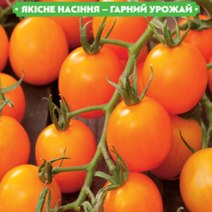 Насіння томату Черрі золотий 0.1 г, FAZENDA, O. L. KAR