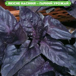 Насіння пряних трав Базилік фіолетовий 0.5 г, FAZENDA, O. L. KAR