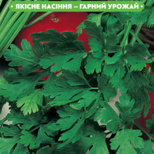 Насіння пряних трав кінза Коріандр 1г, FAZENDA, O. L. KAR