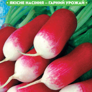 Насіння редиски Богиня 20г, FAZENDA, O. L. KAR