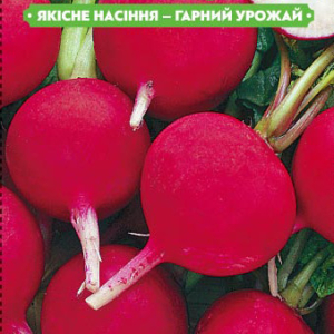 Насіння редиски Сакса 20г, FAZENDA, O. L. KAR