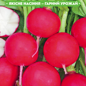 Насіння редиски Червоний ранній 20г, FAZENDA, O. L. KAR