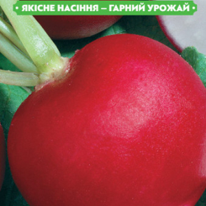 Насіння редьки Зимова червона кругла 3г, FAZENDA, O. L. KAR