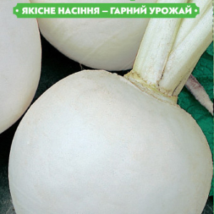 Семена редьки Одесская 5 3г, FAZENDA, O.L.KAR