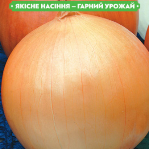 Насіння Цибулі " Глобус 20г, FAZENDA, O. L. KAR