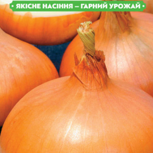 Насіння Цибулі Штутгарт різен 16г, FAZENDA, O. L. KAR