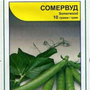 Насіння Гороху Сомервуд 10 гр, Syngenta, Голандія