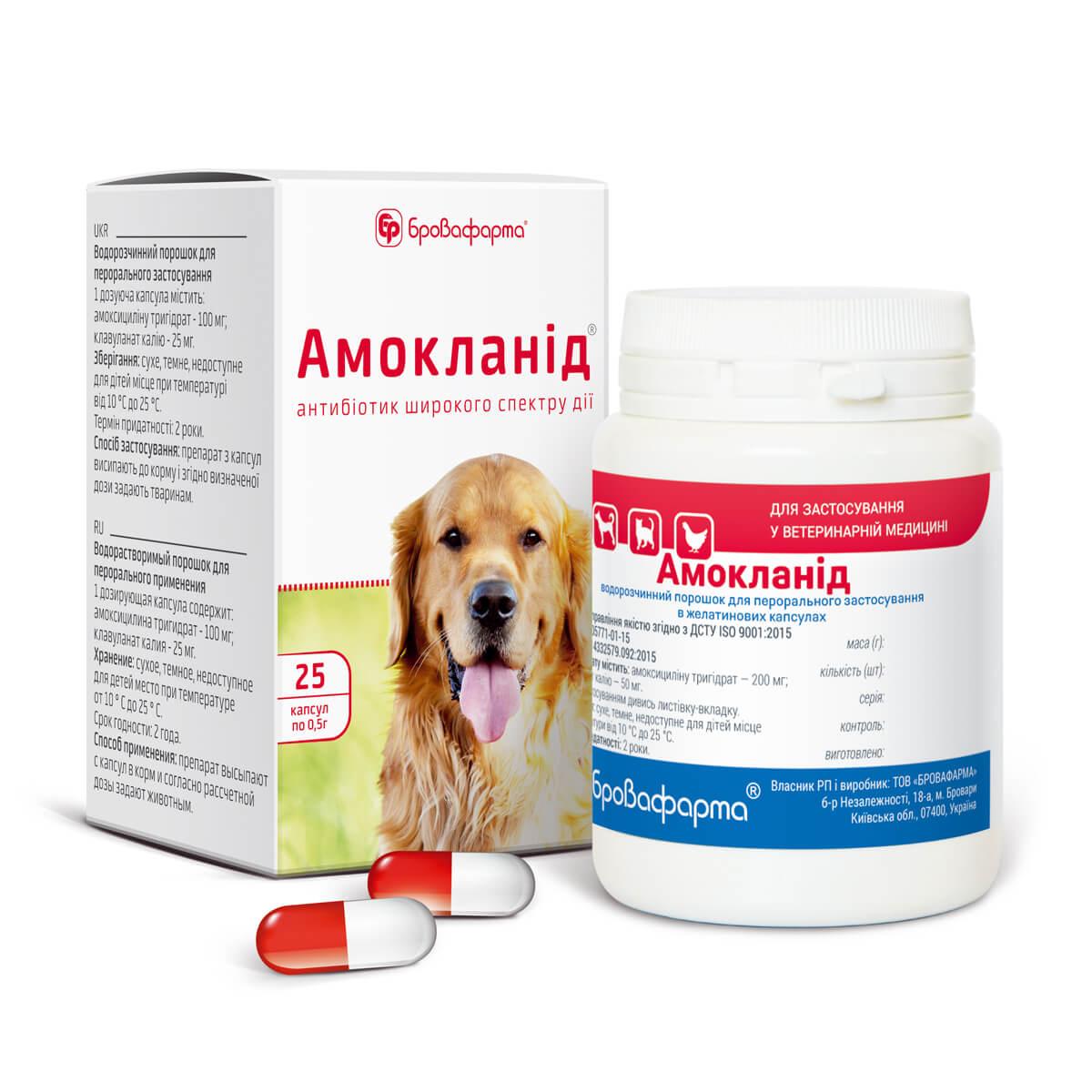 Амокланід капсули 0,5 г №25 Бровафарма (Амоксицилін)