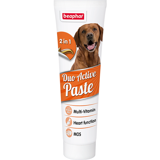 Подвійна мультивітамінна паста для здоров'я кишківника собак Duo Active Paste for Dogs 100 г