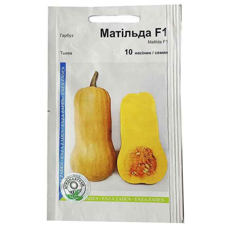 Насіння Гарбуз Матільда 10 насінин Enza Zaden