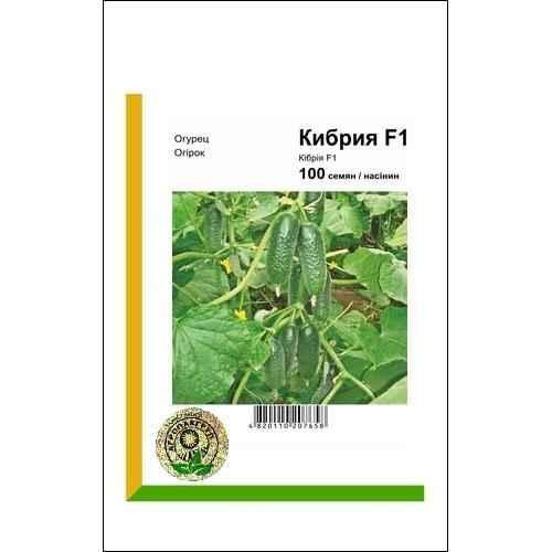 Насіння Огірок Кібрія F1 100 насінин Rijk Zwaan Голландия