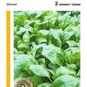 Насіння Шпинат Боа 2 г Rijk Zwaan