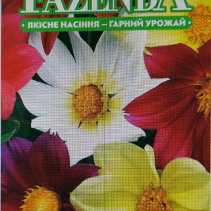 Насіння Квітів Жоржини Веселі Хлоп'ята 0.3 г FAZENDA