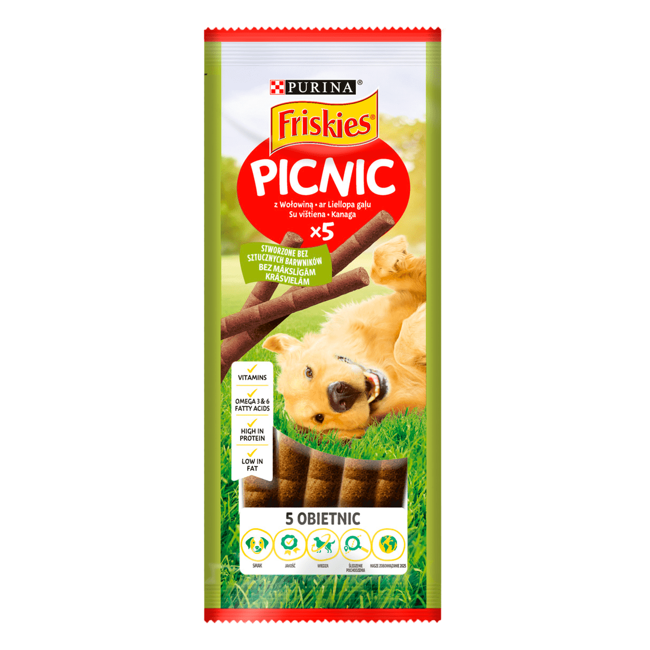 Додатковий сухий корм Фріскіс Friskies Picnic (Пікнік) для дорослих собак з яловичиною, 42 г