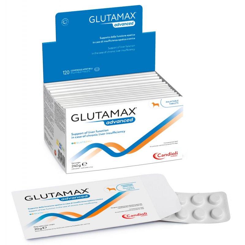 Таблетки Candioli Glutamax advanced (Кандіолі Глутамакс едвансд) для підтримки печінки собак 10 табл