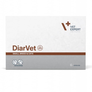 Харчова добавка Vet Expert DiarVet ДіарВет для котів і собак малих порід проти діареї (6 капсул)