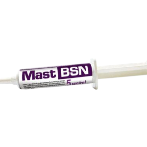 МАСТ BSN 5 мл шприц (мастисан А)