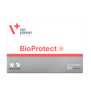 Vet Expert BioProtect (БіоПротект) для котів і собак із порушеною шлунково-кишковою мікрофлорою 60 капсул