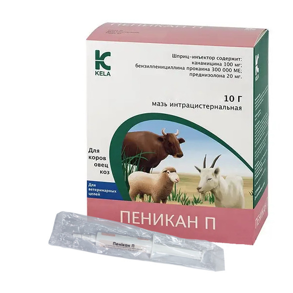 Penikan P (Пенікан П) 1 шприц-інжектор 10 г для лікування гострого маститу, KELA