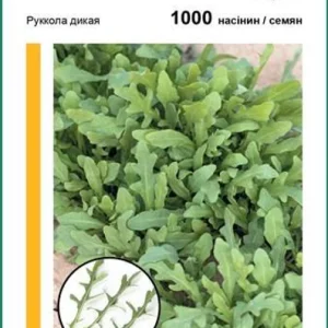 Насіння Салат Руккола Сіноп 1000насі Rijk Zwaan