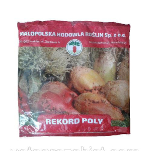 Насіння кормовий буряк Рекорд 0,5 кг (рожевий) Польща