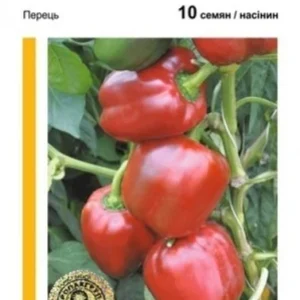 Перець Сондела F1 10нас Rijk Zwaan