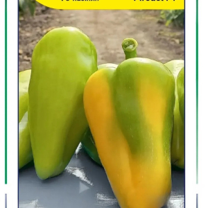 Перець Пірует F1 10нас Syngenta