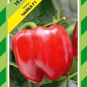 Перець Чайка F1 10нас Bejo