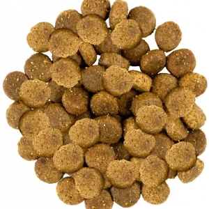Корм для котів Хіллс Hills SP Feline Sensitive Stomach & Skin сухий корм для шлунку і шкіри з куркою 1 кг (на вагу)