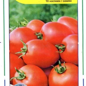 Насіння Помідор Наміб F1 (10 насінин), Syngenta