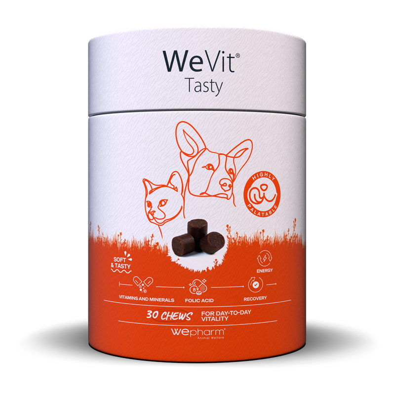 Вітамінно-мінеральний комплекс Wepharm WeVit Tasty Віфарм ВіВіт Тейсті для кішок і собак, 30 пастилок